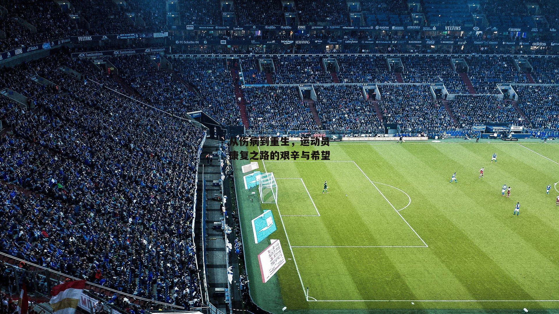 从伤病到重生,运动员康复之路的艰辛与希望